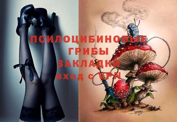 гашик Нязепетровск