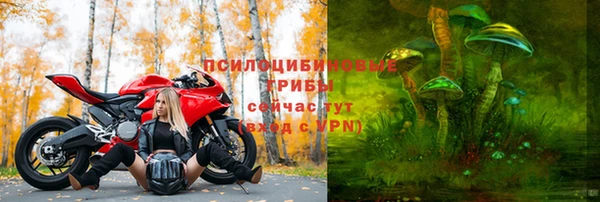 PSILOCYBIN Новодвинск